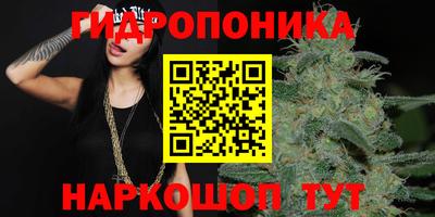 ПСИЛОЦИБИНОВЫЕ ГРИБЫ Бузулук