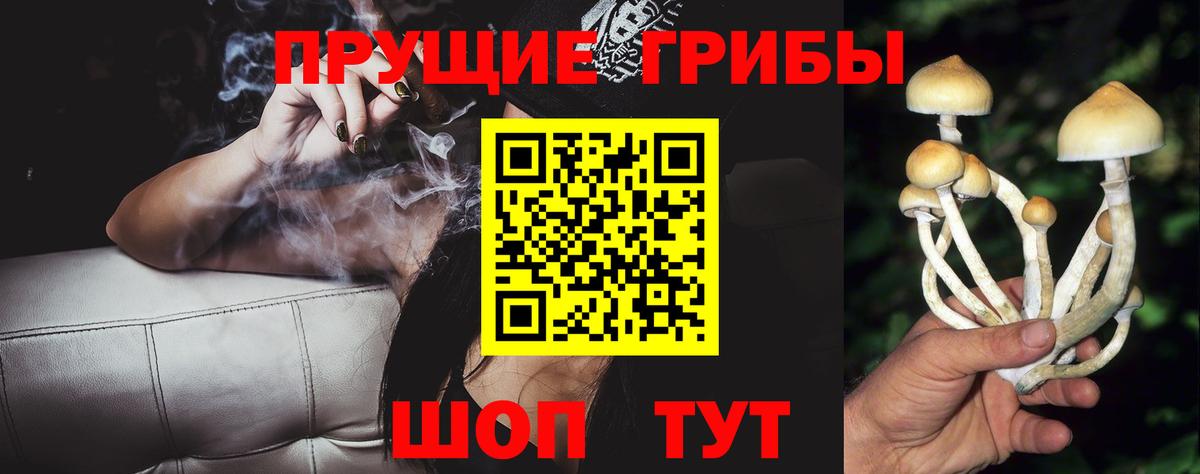 Лесной  Галлюциногенные грибы MAGIC MUSHROOMS  Вход с VPN  Псилоцибиновые грибы Psilocybe 